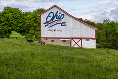 Ohio Doctors image 2